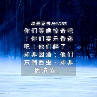 Picture 04 - 以 赛 亚 书 29:9 CUVS - 你 们 等 候 惊 奇 吧 ！ 你 们 宴 乐 - Bible Verse Picture