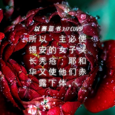 Picture 04 - 以 赛 亚 书 3:17 CUVS - 所 以 ， 主 必 使 锡 安 的 女 子 头 - Bible Verse Picture