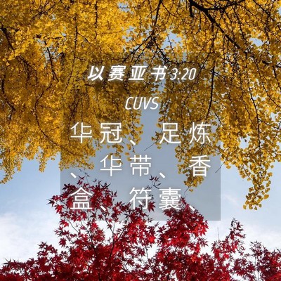 Picture 04 - 以 赛 亚 书 3:20 CUVS - 华 冠 、 足 炼 、 华 带 、 香 盒 、 - Bible Verse Picture