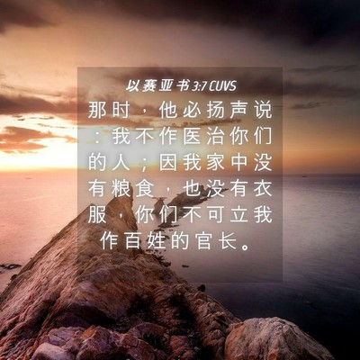 Picture 04 - 以 赛 亚 书 3:7 CUVS - 那 时 ， 他 必 扬 声 说 ： 我 不 作 - Bible Verse Picture