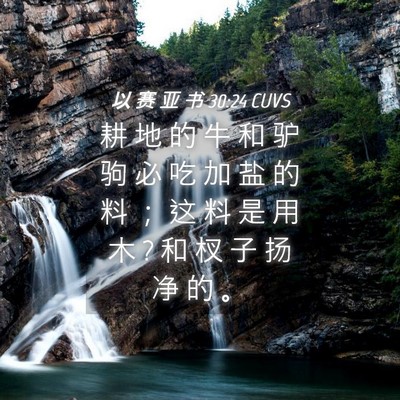 Picture 04 - 以 赛 亚 书 30:24 CUVS - 耕 地 的 牛 和 驴 驹 必 吃 加 盐 的 - Bible Verse Picture