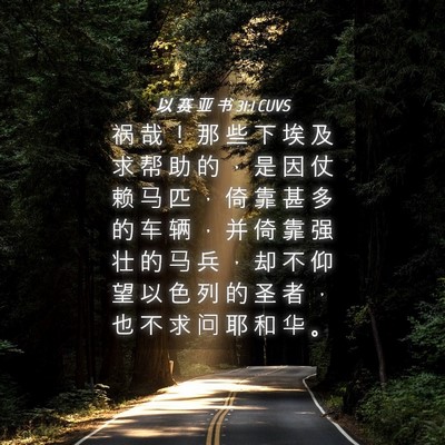 Picture 04 - 以 赛 亚 书 31:1 CUVS - 祸 哉 ！ 那 些 下 埃 及 求 帮 助 的 - Bible Verse Picture