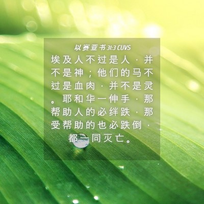 Picture 04 - 以 赛 亚 书 31:3 CUVS - 埃 及 人 不 过 是 人 ， 并 不 是 神 - Bible Verse Picture