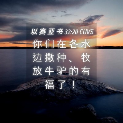 Picture 04 - 以 赛 亚 书 32:20 CUVS - 你 们 在 各 水 边 撒 种 、 牧 放 牛 - Bible Verse Picture