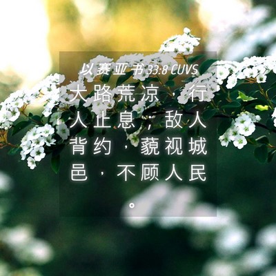 Picture 04 - 以 赛 亚 书 33:8 CUVS - 大 路 荒 凉 ， 行 人 止 息 ； 敌 人 - Bible Verse Picture