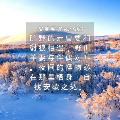 Picture 04 - 以 赛 亚 书 34:14 CUVS - 旷 野 的 走 兽 要 和 豺 狼 相 遇 ； - Bible Verse Picture