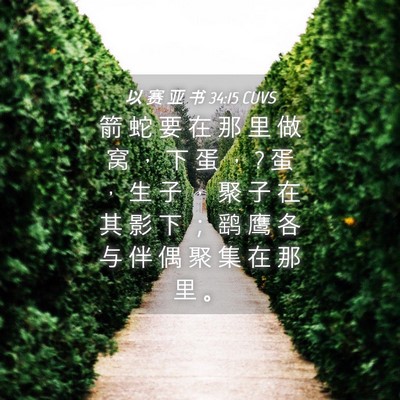 Picture 04 - 以 赛 亚 书 34:15 CUVS - 箭 蛇 要 在 那 里 做 窝 ， 下 蛋 ， ? - Bible Verse Picture