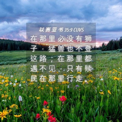 Picture 04 - 以 赛 亚 书 35:9 CUVS - 在 那 里 必 没 有 狮 子 ， 猛 兽 也 - Bible Verse Picture
