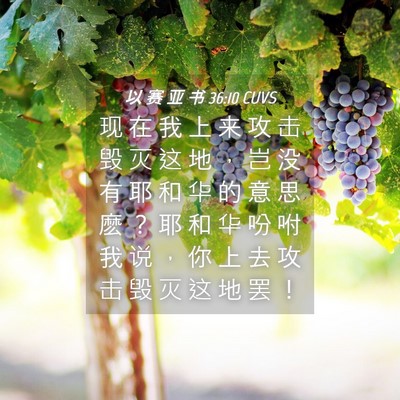Picture 04 - 以 赛 亚 书 36:10 CUVS - 现 在 我 上 来 攻 击 毁 灭 这 地 ， - Bible Verse Picture