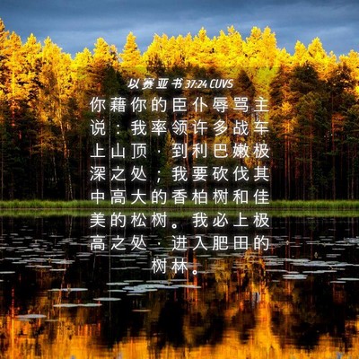 Picture 04 - 以 赛 亚 书 37:24 CUVS - 你 藉 你 的 臣 仆 辱 骂 主 说 ： 我 - Bible Verse Picture