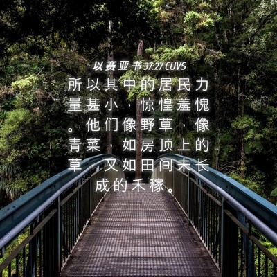 Picture 04 - 以 赛 亚 书 37:27 CUVS - 所 以 其 中 的 居 民 力 量 甚 小 ， - Bible Verse Picture