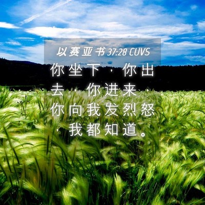 Picture 04 - 以 赛 亚 书 37:28 CUVS - 你 坐 下 ， 你 出 去 ， 你 进 来 ， - Bible Verse Picture