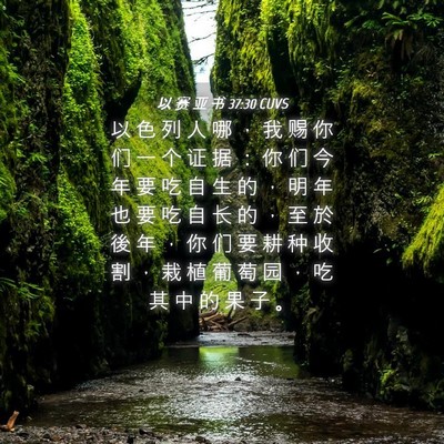 Picture 04 - 以 赛 亚 书 37:30 CUVS - 以 色 列 人 哪 ， 我 赐 你 们 一 个 - Bible Verse Picture