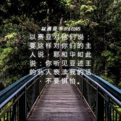 Picture 04 - 以 赛 亚 书 37:6 CUVS - 以 赛 亚 对 他 们 说 ： 要 这 样 对 - Bible Verse Picture