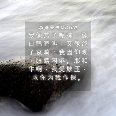 Picture 04 - 以 赛 亚 书 38:14 CUVS - 我 像 燕 子 呢 喃 ， 像 白 鹤 鸣 叫 - Bible Verse Picture