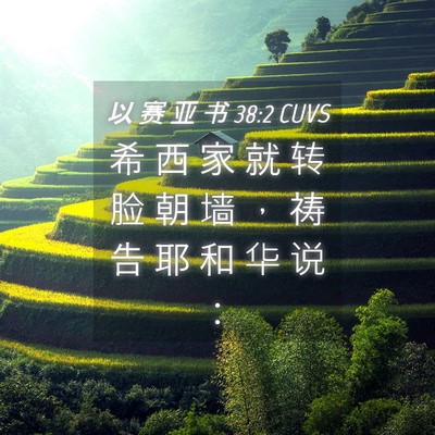 Picture 04 - 以 赛 亚 书 38:2 CUVS - 希 西 家 就 转 脸 朝 墙 ， 祷 告 耶 - Bible Verse Picture