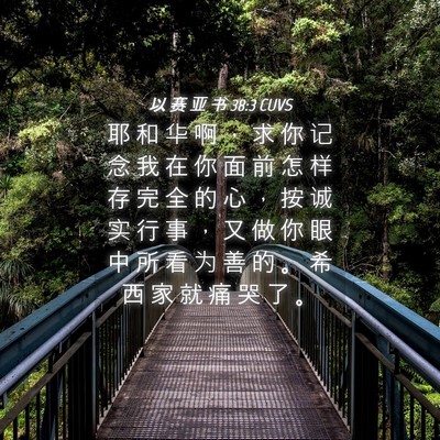 Picture 04 - 以 赛 亚 书 38:3 CUVS - 耶 和 华 啊 ， 求 你 记 念 我 在 你 - Bible Verse Picture