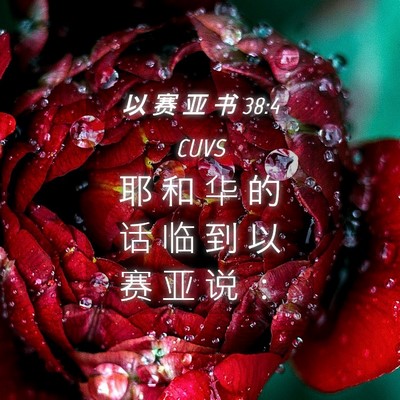 Picture 04 - 以 赛 亚 书 38:4 CUVS - 耶 和 华 的 话 临 到 以 赛 亚 说 - Bible Verse Picture