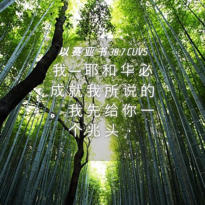 Picture 04 - 以 赛 亚 书 38:7 CUVS - 我 ─ 耶 和 华 必 成 就 我 所 说 的 - Bible Verse Picture
