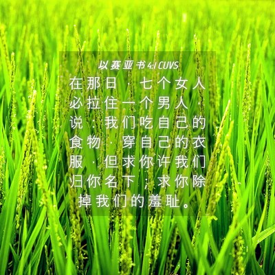 Picture 04 - 以 赛 亚 书 4:1 CUVS - 在 那 日 ， 七 个 女 人 必 拉 住 一 - Bible Verse Picture
