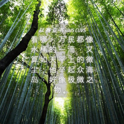 Picture 04 - 以 赛 亚 书 40:15 CUVS - 看 哪 ， 万 民 都 像 水 桶 的 一 滴 - Bible Verse Picture