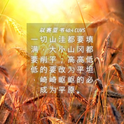 Picture 04 - 以 赛 亚 书 40:4 CUVS - 一 切 山 洼 都 要 填 满 ， 大 小 山 - Bible Verse Picture