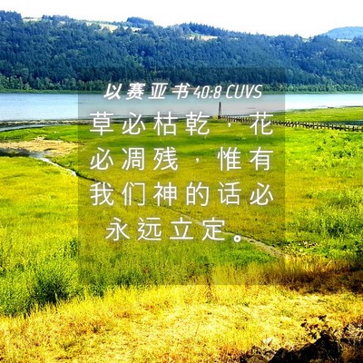 Picture 04 - 以 赛 亚 书 40:8 CUVS - 草 必 枯 乾 ， 花 必 凋 残 ， 惟 有 - Bible Verse Picture