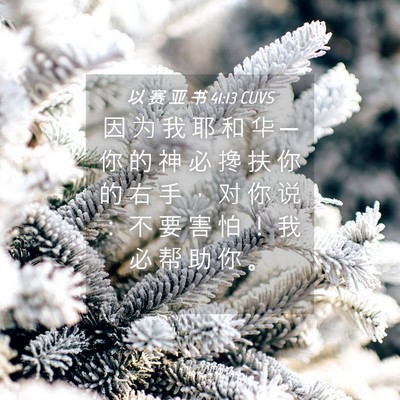 Picture 04 - 以 赛 亚 书 41:13 CUVS - 因 为 我 耶 和 华 ─ 你 的 神 必 搀 - Bible Verse Picture