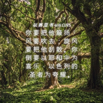 Picture 04 - 以 赛 亚 书 41:16 CUVS - 你 要 把 他 簸 扬 ， 风 要 吹 去 ； - Bible Verse Picture