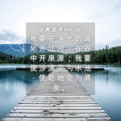 Picture 04 - 以 赛 亚 书 41:18 CUVS - 我 要 在 净 光 的 高 处 开 江 河 ， - Bible Verse Picture