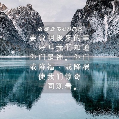 Picture 04 - 以 赛 亚 书 41:23 CUVS - 要 说 明 後 来 的 事 ， 好 叫 我 们 - Bible Verse Picture