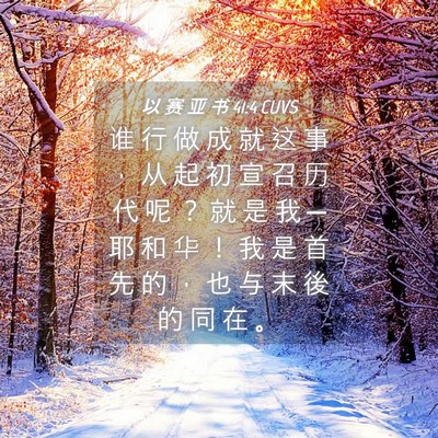 Picture 04 - 以 赛 亚 书 41:4 CUVS - 谁 行 做 成 就 这 事 ， 从 起 初 宣 - Bible Verse Picture