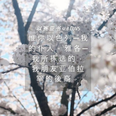 Picture 04 - 以 赛 亚 书 41:8 CUVS - 惟 你 以 色 列 ─ 我 的 仆 人 ， 雅 - Bible Verse Picture