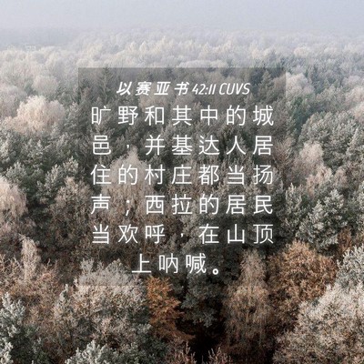 Picture 04 - 以 赛 亚 书 42:11 CUVS - 旷 野 和 其 中 的 城 邑 ， 并 基 达 - Bible Verse Picture