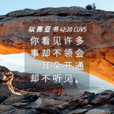 Picture 04 - 以 赛 亚 书 42:20 CUVS - 你 看 见 许 多 事 却 不 领 会 ， 耳 - Bible Verse Picture