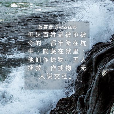 Picture 04 - 以 赛 亚 书 42:22 CUVS - 但 这 百 姓 是 被 抢 被 夺 的 ， 都 - Bible Verse Picture