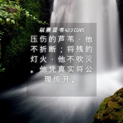 Picture 04 - 以 赛 亚 书 42:3 CUVS - 压 伤 的 芦 苇 ， 他 不 折 断 ； 将 - Bible Verse Picture