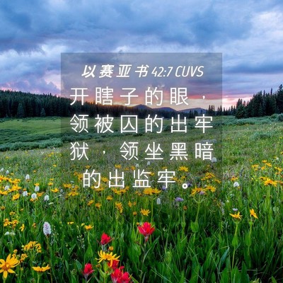 Picture 04 - 以 赛 亚 书 42:7 CUVS - 开 瞎 子 的 眼 ， 领 被 囚 的 出 牢 - Bible Verse Picture