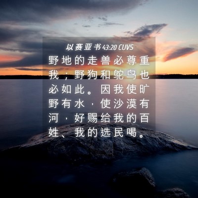 Picture 04 - 以 赛 亚 书 43:20 CUVS - 野 地 的 走 兽 必 尊 重 我 ； 野 狗 - Bible Verse Picture