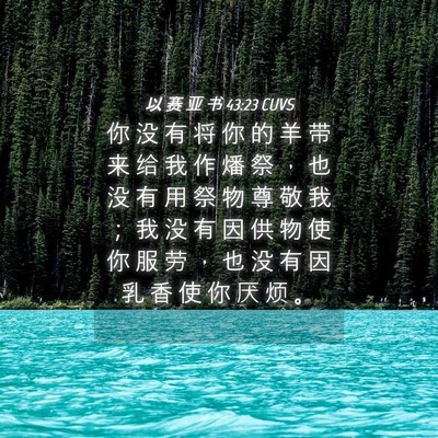 Picture 04 - 以 赛 亚 书 43:23 CUVS - 你 没 有 将 你 的 羊 带 来 给 我 作 - Bible Verse Picture