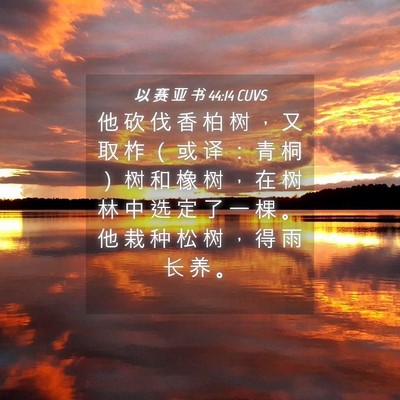 Picture 04 - 以 赛 亚 书 44:14 CUVS - 他 砍 伐 香 柏 树 ， 又 取 柞 （ 或 - Bible Verse Picture