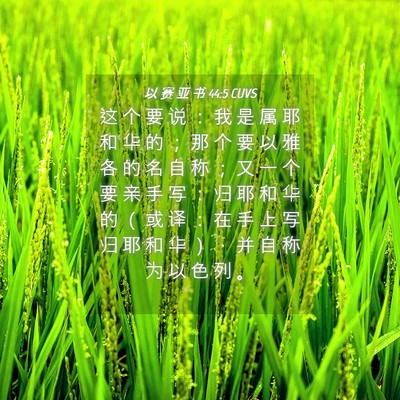 Picture 04 - 以 赛 亚 书 44:5 CUVS - 这 个 要 说 ： 我 是 属 耶 和 华 的 - Bible Verse Picture