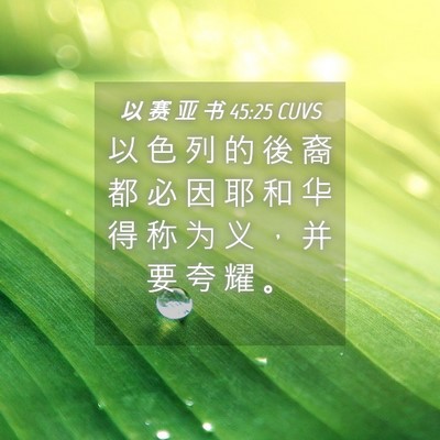 Picture 04 - 以 赛 亚 书 45:25 CUVS - 以 色 列 的 後 裔 都 必 因 耶 和 华 - Bible Verse Picture