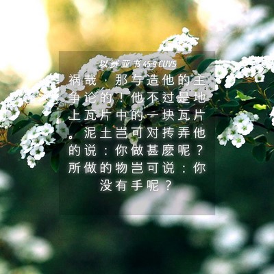 Picture 04 - 以 赛 亚 书 45:9 CUVS - 祸 哉 ， 那 与 造 他 的 主 争 论 的 - Bible Verse Picture