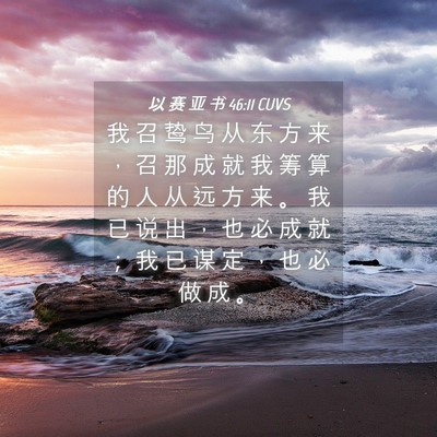 Picture 04 - 以 赛 亚 书 46:11 CUVS - 我 召 鸷 鸟 从 东 方 来 ， 召 那 成 - Bible Verse Picture