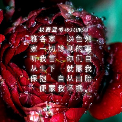Picture 04 - 以 赛 亚 书 46:3 CUVS - 雅 各 家 ， 以 色 列 家 一 切 馀 剩 - Bible Verse Picture