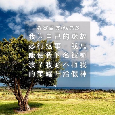 Picture 04 - 以 赛 亚 书 48:11 CUVS - 我 为 自 己 的 缘 故 必 行 这 事 ， - Bible Verse Picture
