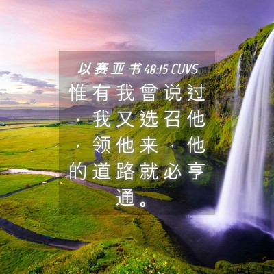 Picture 04 - 以 赛 亚 书 48:15 CUVS - 惟 有 我 曾 说 过 ， 我 又 选 召 他 - Bible Verse Picture