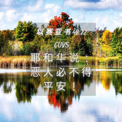 Picture 04 - 以 赛 亚 书 48:22 CUVS - 耶 和 华 说 ： 恶 人 必 不 得 平 安 - Bible Verse Picture