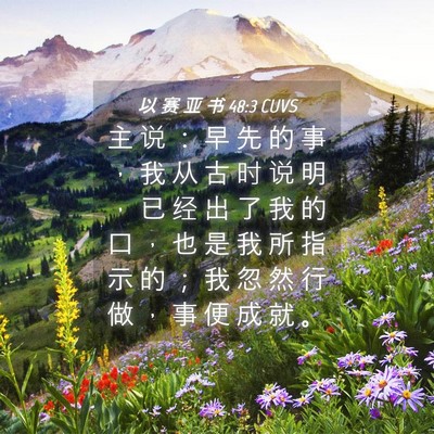 Picture 04 - 以 赛 亚 书 48:3 CUVS - 主 说 ： 早 先 的 事 ， 我 从 古 时 - Bible Verse Picture